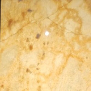 Cappucino-Onyx-e1719420951998.jpg